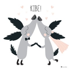 Postkaart "Kibe"
