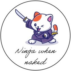 Sticker 'Ninja when naked'